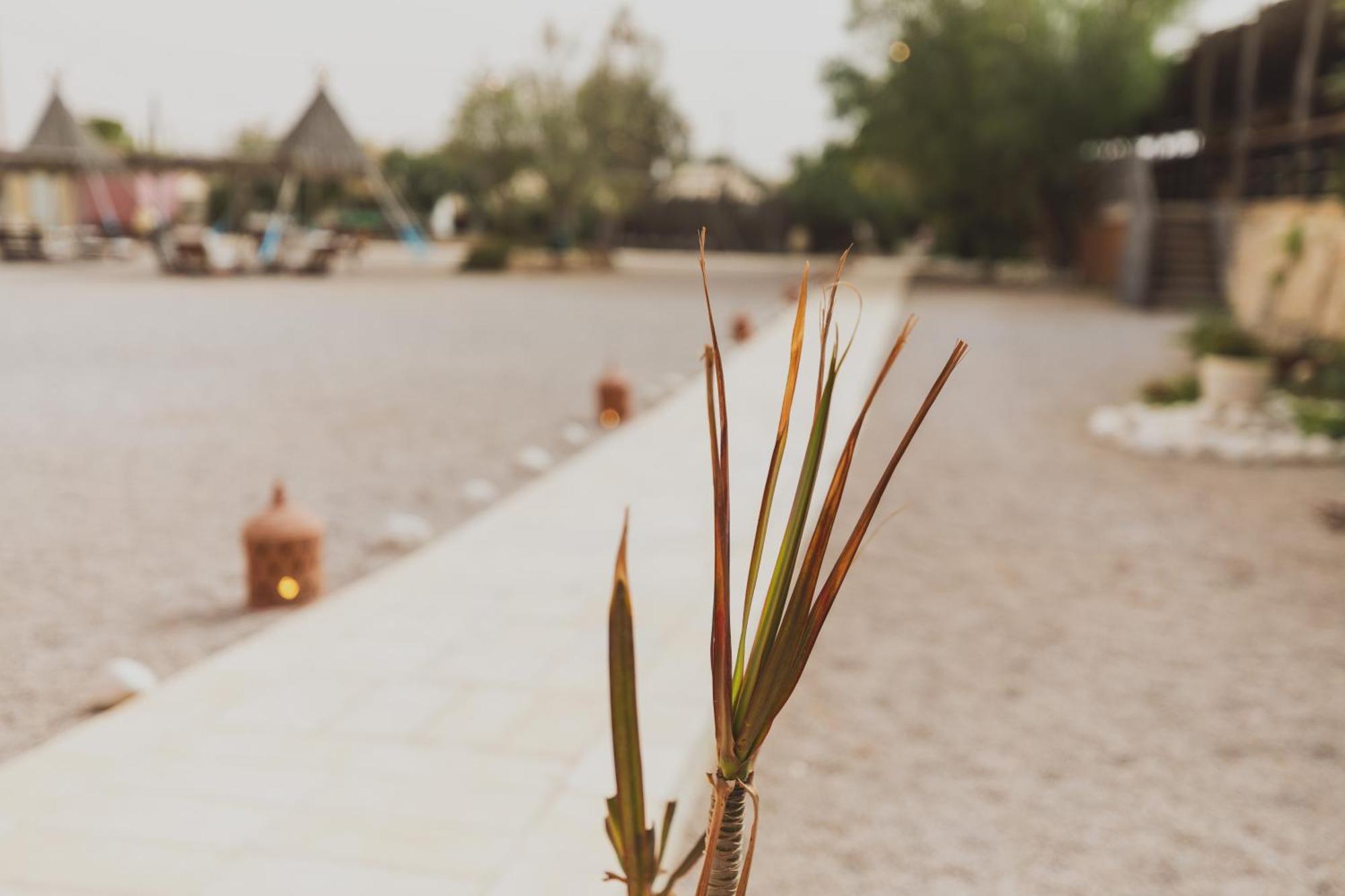 Jacob Mitzpe Ramon Hotel Luaran gambar